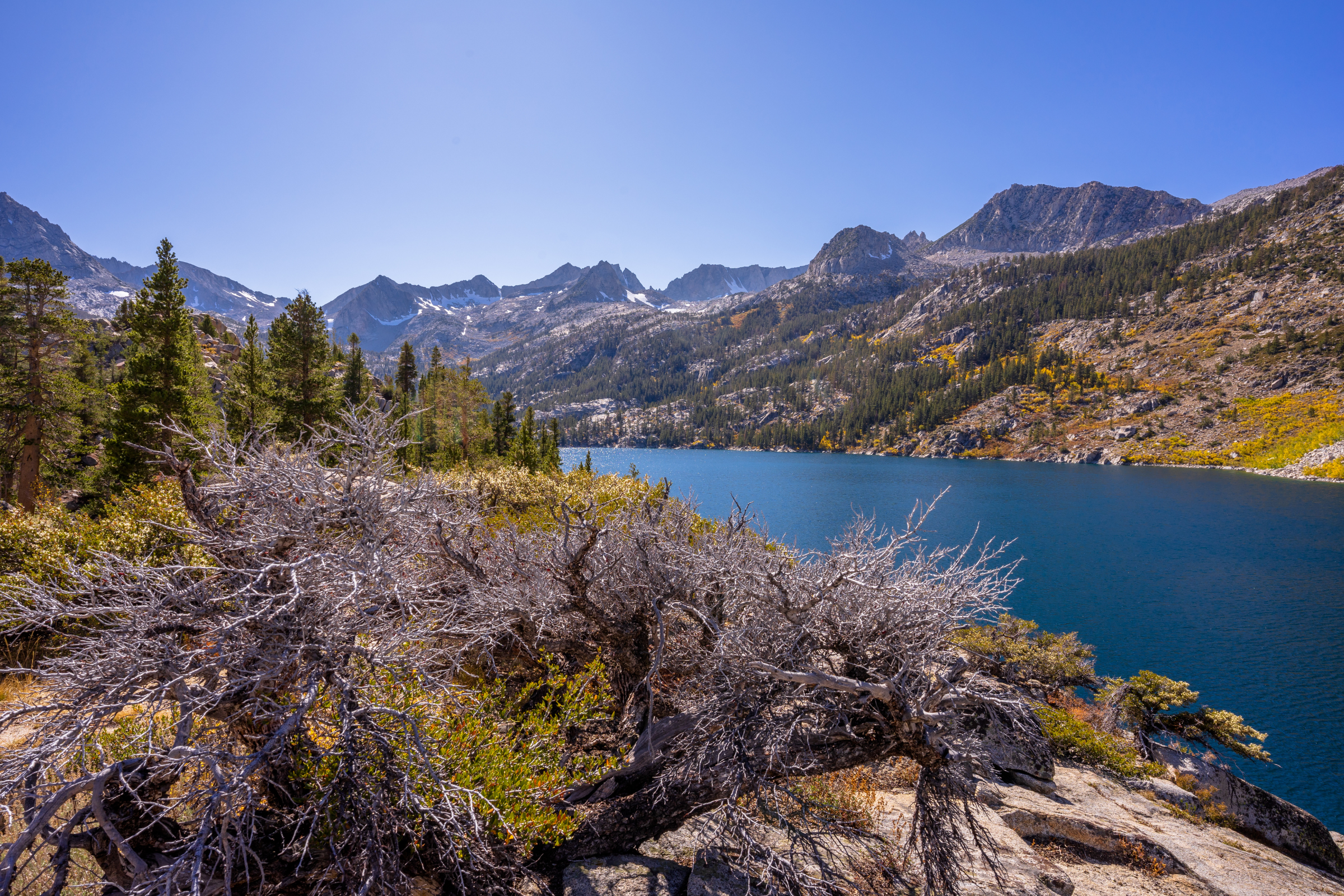 bishop, california (3).webp